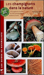 LES CHAMPIGNONS DANS LA NATURE 1