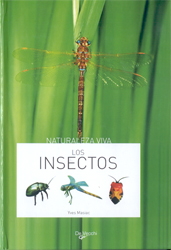 LOS INSECTOS 1