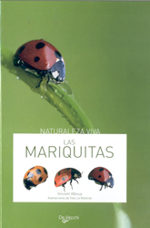 LAS MARIQUITAS 1