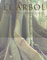 EL ÁRBOL. UNA MARAVILLA DE LA NATURALEZA 1
