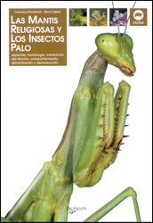 LAS MANTIS RELIGIOSAS Y LOS INSECTOS PALO