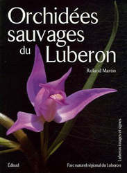 ORCHIDÉES SAUVAGES DU LUBERON 2