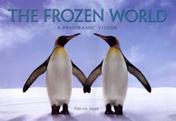 THE FROZEN WORLD. A PANORAMIC VISION 1