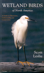 WETLAND BIRDS OF NORTH AMERICA. A GUIDE TO OBSERVATION, UNDERSTANDING AND CONSERVATION
