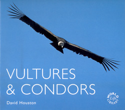 VULTURES & CONDORS