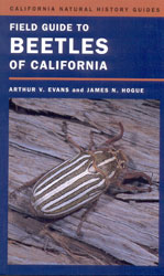 FIELD GUIDE TO BEETLES OF CALIFORNIA 1