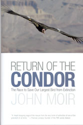 RETURN OF THE CONDOR. THE RACE TO SAVE OUR LARGEST BIRD FROM EXTINCTION