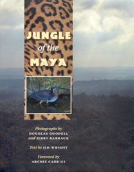 JUNGLE OF THE MAYA
