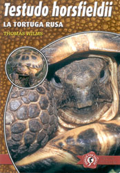 TESTUDO HORSFIELDII. LA TORTUGA RUSA