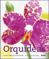 ORQUÍDEAS 1