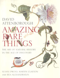 AMAZING RARE THINGS 1