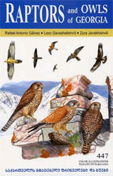 RAPTORS AND OWLS OF GEORGIA 1