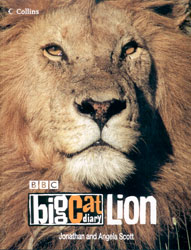 BBC BIG CAT DIARY LION. 2