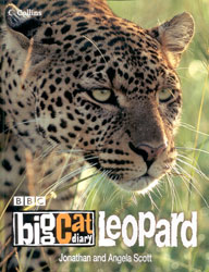 BBC BIG CAT DIARY LEOPARD. 2