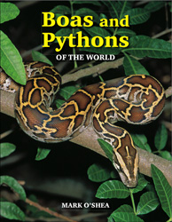 BOAS AND PYTHONS OF THE WORLD