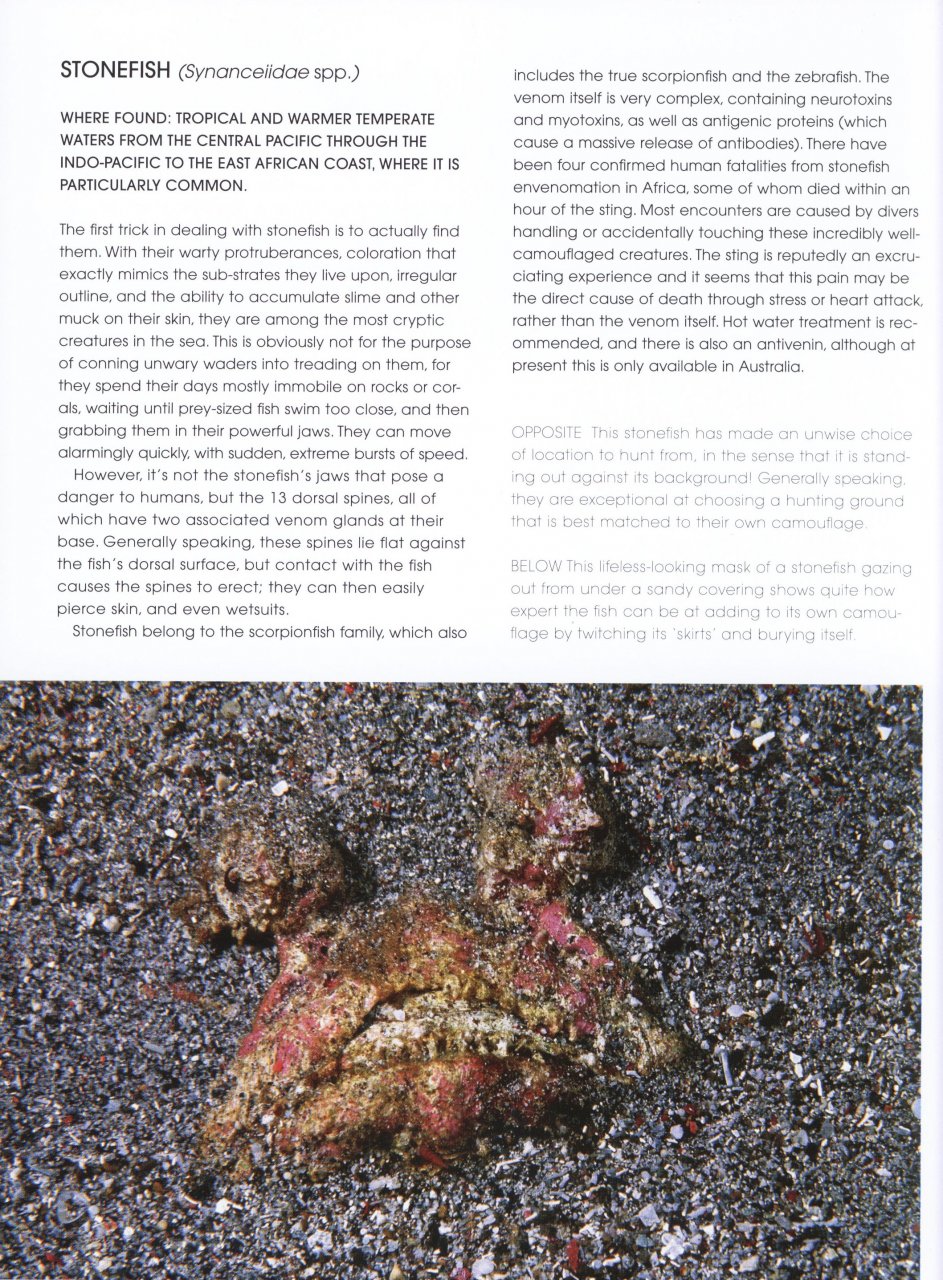 VENOM. POISONOUS CREATURES IN THE NATURAL WORLD 4
