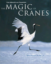 THE MAGIC OF CRANES 1