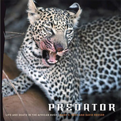 PREDATOR. LIFE AND DEATH IN THE AFRICAN BUSH 1