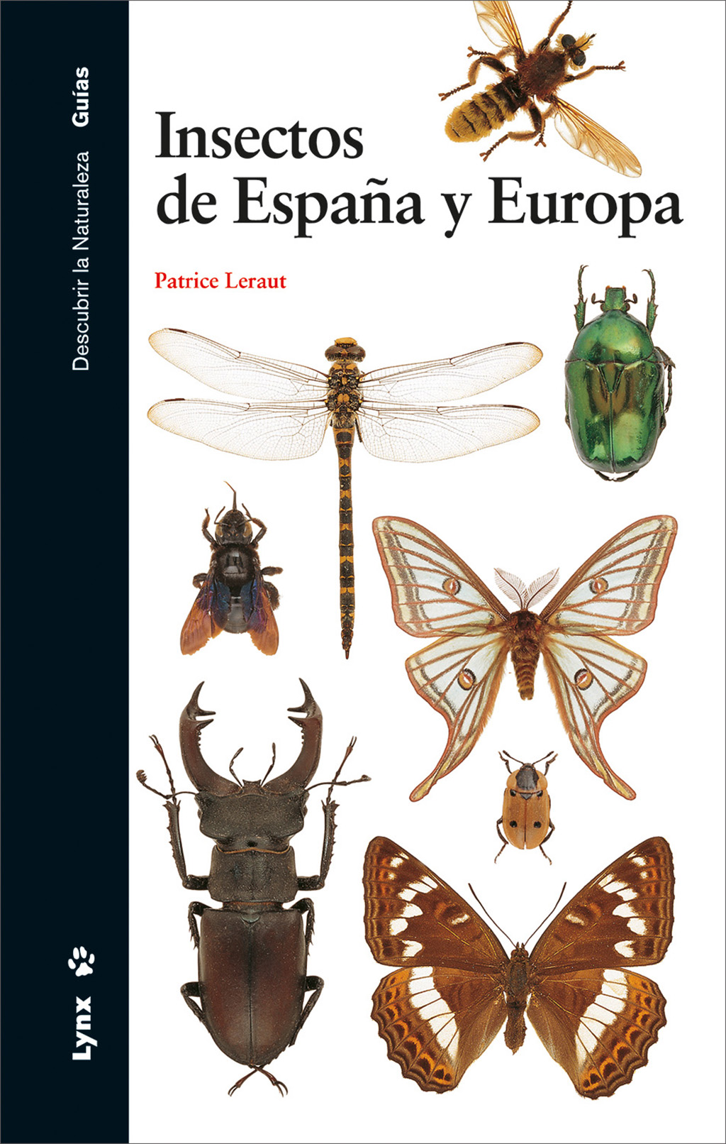 INSECTOS DE ESPAÑA Y EUROPA 1