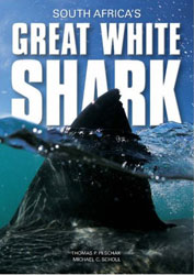 SOUTH AFRICA'S GREAT WHITE SHARK