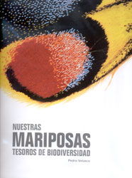 NUESTRAS MARIPOSAS. TESOROS DE BIODIVERSIDAD