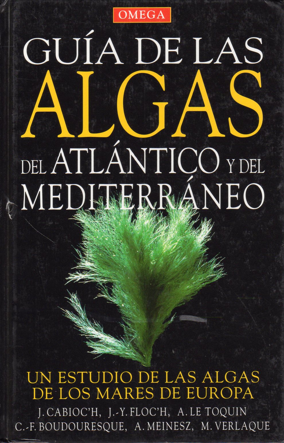 GUÍA DE LAS ALGAS DEL ATLÁNTICO Y DEL MEDITERRÁNEO 1