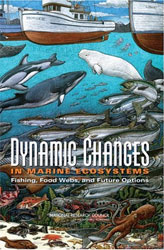 DYNAMIC CHANGES IN MARINE ECOSYSTEMS. FISHING, FOOD WEBS, AND FUTURE OPTIONS