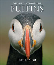 PUFFINS