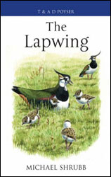 THE LAPWING 1