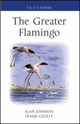 THE GREATER FLAMINGO 1