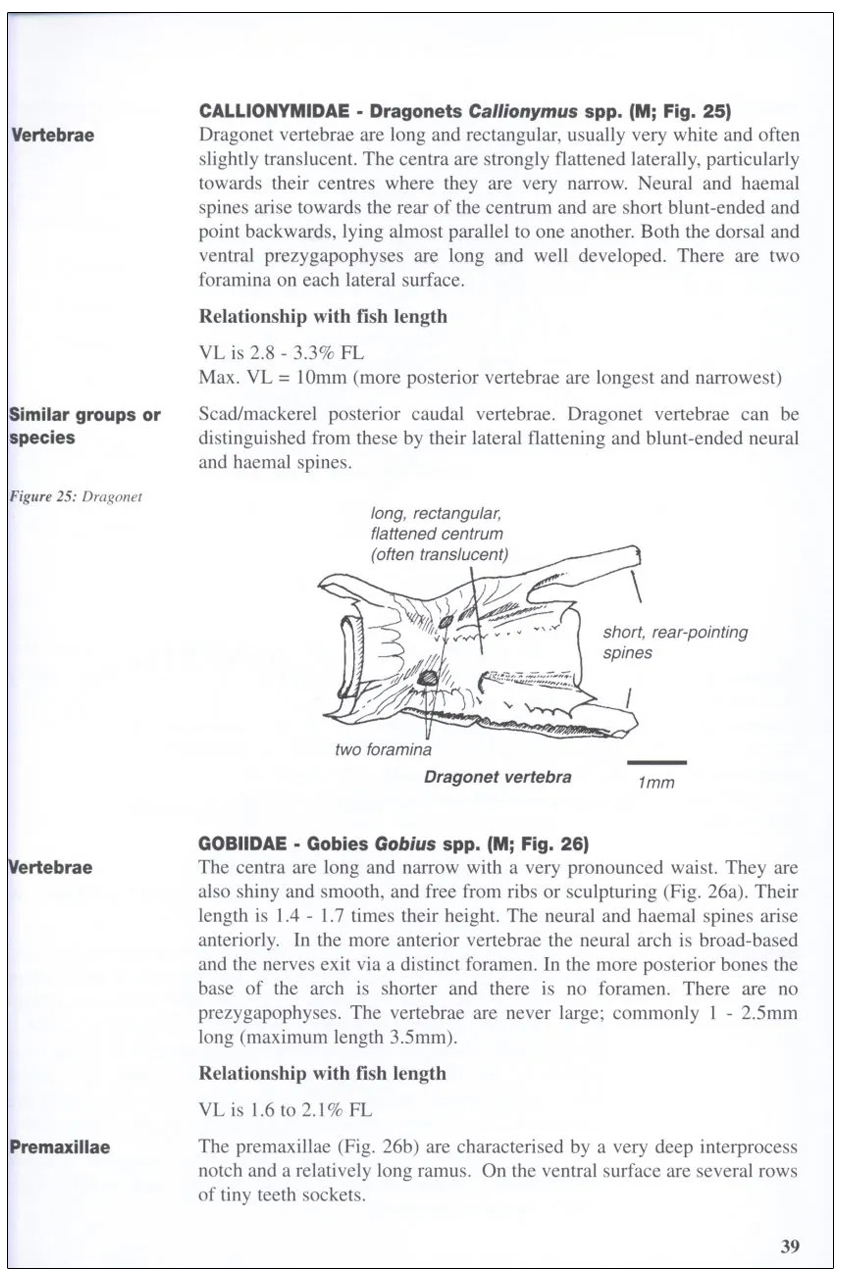 A GUIDE TO THE IDENTIFICATION OF PREY REMAINS IN OTTER SPRAINT 3