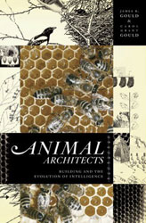 ANIMAL ARCHITECTS. BUILDING AND THE EVOLUTION OF INTELLIGENCE