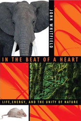 IN THE BEAT OF A HEART. LIFE, ENERGY, AND THE UNITY OF NATURE