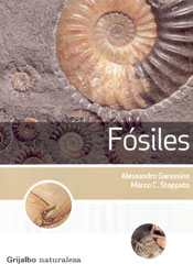 FÓSILES 1