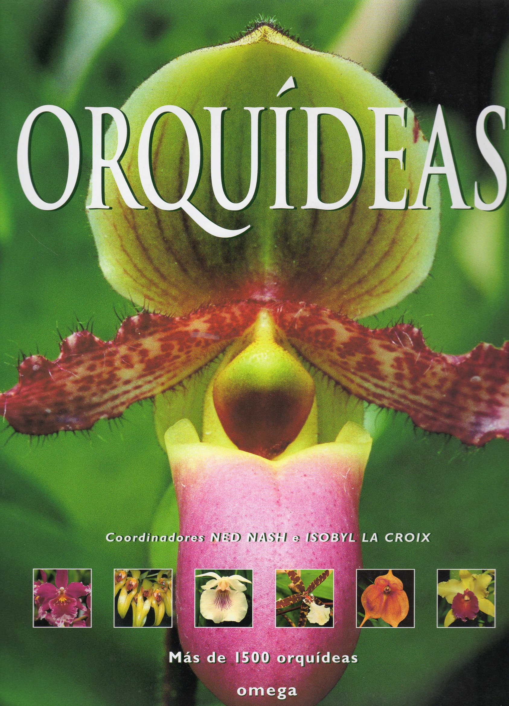 ORQUÍDEAS 1
