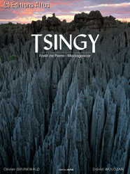 TSINGY. STONE FOREST. MADAGASCAR 1