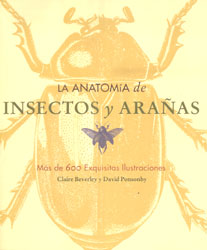 LA ANATOMÍA DE INSECTOS Y ARAÑAS. MÁS DE 600 EXQUISITAS ILUSTRACIONES
