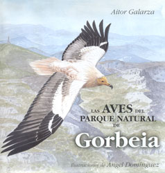 LAS AVES DEL PARQUE NATURAL DE GORBEIA