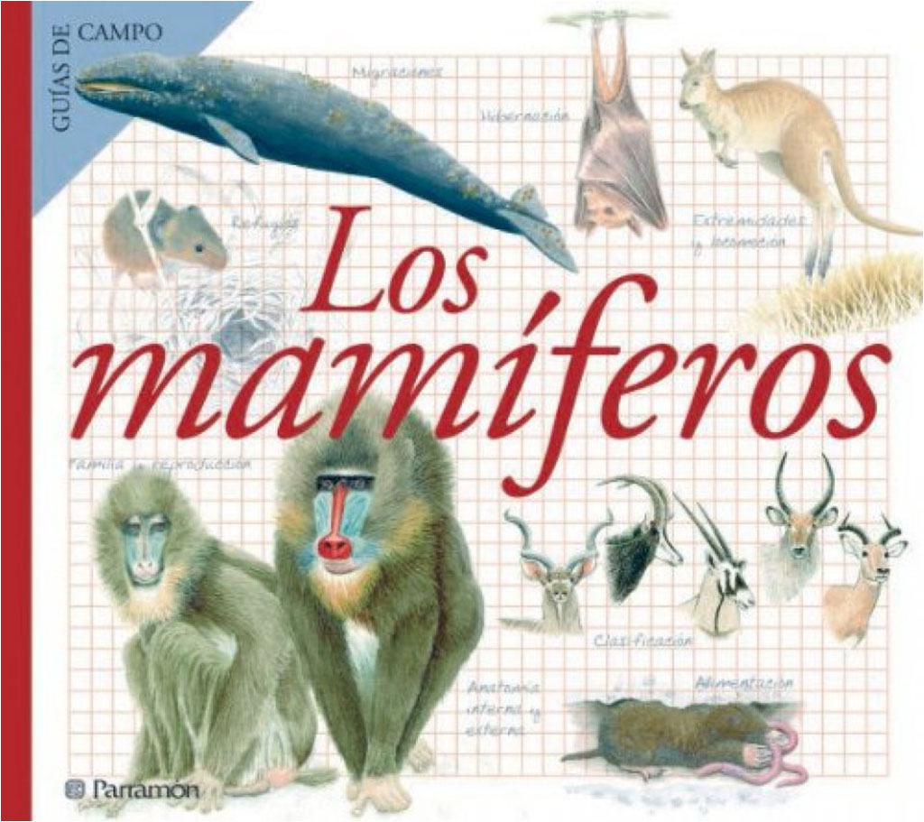 LOS MAMÍFEROS. GUÍAS DE CAMPO 1