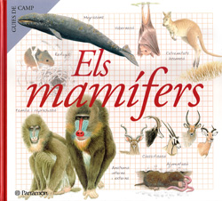 ELS MAMÍFERS. GUIES DE CAMP    1