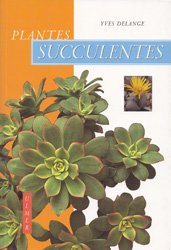 PLANTES SUCCULENTES