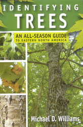 IDENTIFYING TREES AN ALL-SEASON GUIDE TO EASTERN NORTH AMERICA