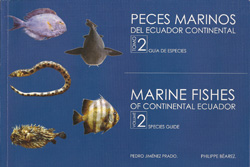 PECES MARINOS DEL ECUADOR CONTINENTAL. TOMO II. GUÍA DE ESPECIES 1