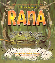 EL CICLO DE VIDA DE LA RANA