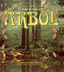 EL CICLO DE VIDA DEL ÁRBOL 1