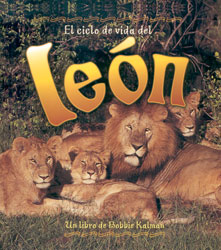 EL CICLO DE VIDA DEL LEÓN 1
