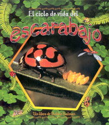 EL CICLO DE VIDA DEL ESCARABAJO