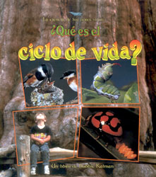 ¿QUÉ ES EL CICLO DE VIDA? 1