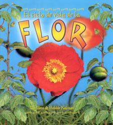 EL CICLO DE VIDA DE LA FLOR
