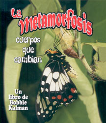 LA METAMORFOSIS. CUERPOS QUE CAMBIAN